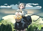  1girl absurdres animal_ears basket blush capelet chinese_commentary clouds commentary_request day dress feet_out_of_frame flower grass grey_dress grey_hair highres holding holding_basket jewelry long_sleeves looking_at_viewer mouse mouse_ears mouse_girl mouse_tail nazrin outdoors pendant red_eyes sancking_(fatekl) shirt short_hair sky solo tail touhou weibo_logo weibo_username white_capelet white_shirt yellow_flower 