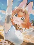  1girl animal_ears bare_shoulders blonde_hair blush bow bowtie brown_hair cat_ears cat_girl commentary_request elbow_gloves gloves hair_between_eyes high-waist_skirt highres ieinu_account kemono_friends looking_at_viewer multicolored_hair print_bow print_bowtie print_gloves print_skirt serval_(kemono_friends) serval_print shirt short_hair skirt sleeveless solo white_shirt 