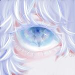  absurdres bai_liu bangs blue_eyes close-up colored_eyelashes eye_focus eye_reflection eyelashes highres i_became_a_god_in_a_horror_game looking_at_another qingsier998 reflection solo tavel 