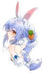  1girl animal_ear_fluff animal_ears bare_shoulders blue_hair bow braid carrot cropped_torso detached_sleeves from_behind fur_scarf gotoh510 hair_between_eyes hair_bow highres hololive light_blush long_hair looking_at_viewer multicolored_hair orange_eyes rabbit_ears rabbit_girl simple_background solo symbol-shaped_pupils tongue tongue_out twin_braids upper_body usada_pekora virtual_youtuber white_background 