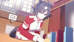  3girls ahoge animal animal_ears animal_on_shoulder animated animated_gif believe_(umamusume) black_hair blonde_hair brown_hair calstone_light_o_(umamusume) cat commentary_request crossed_arms dominoes durandal_(umamusume) ear_covers gym hair_between_eyes horse_ears horse_girl horse_tail jacket long_sleeves multicolored_hair multiple_girls red_jacket red_shorts ryuu_(ryuraconis) seiza shorts single_ear_cover sitting stage streaked_hair tail track_jacket umamusume white_hair wooden_floor 