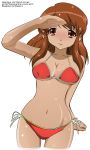  asahina_mikuru bikini cleavage signed suzumiya_haruhi_no_yuuutsu swimsuit vector 