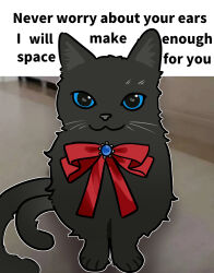  1girl :3 alternate_language arknights black_eyes black_fur blue_sclera caption cat christine_(arknights) closed_mouth colored_sclera english_text get_them_bigass_ears_out_of_the_caption_(meme) highres looking_at_viewer meme multiple_tails neck_ribbon no_humans outline parody photo-referenced red_ribbon ribbon smile solo tail two_tails white_outline wwfo_2 