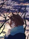  1girl absurdres agnes_tachyon_(umamusume) ahoge animal_ears bare_tree blue_coat blurry blurry_background breasts brown_hair closed_mouth clouds coat highres horse_ears long_sleeves looking_at_viewer orange_eyes outdoors scarf short_hair sideways_glance smile solo sunset tree umamusume watou 