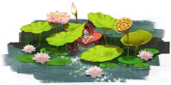  1boy aged_down commentary english_commentary fins fish_boy flower head_fins headpiece leaf lily_pad looking_at_viewer lotus lotus_leaf lotus_pod male_focus natsuyon partially_submerged plant plum sidon slit_pupils solo the_legend_of_zelda the_legend_of_zelda:_breath_of_the_wild twitter_username water white_background yellow_eyes zora 