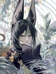  1boy animal_ear_fluff animal_ears black_gloves black_hair blue_eyes book bright_pupils chair colored_inner_hair commentary earrings english_commentary fern fox_boy fox_ears genshin_impact gloves green_hair greenhouse hair_between_eyes hi_to_sama highres holding holding_book indoors jewelry leaf looking_at_viewer male_focus multicolored_hair open_book parted_lips plant shoulder_cape single_earring sitting solo tassel tighnari_(genshin_impact) two-tone_hair white_pupils 