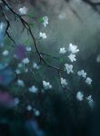  blurry branch depth_of_field flower highres leaf no_humans original outdoors procreate_(medium) rain rajawat white_flower 