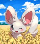  blue_sky blush clouds commentary field flower flower_field green_eyes looking_at_viewer makoto_ikemu minccino no_humans one_eye_closed open_mouth pokemon pokemon_(creature) rapeseed_blossoms sky smile solo tree 