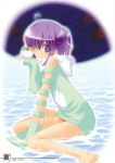  detached_sleeves dress frog highres hood mahou_sensei_negima mahou_sensei_negima! miyazaki_nodoka purple_eyes purple_hair sitting solo water 