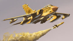  2others absurdres afterburner aim-9_sidewinder air-to-air_missile aircraft airplane anchor_symbol anti-ship_missile as.34_kormoran blue_sky canopy_(aircraft) commentary_request contrail cross day fighter_jet firing german_flag helmet highres iron_cross kudryavka_trop marineflieger military military_vehicle missile multiple_others outdoors panavia_tornado_(aircraft) pilot pilot_helmet reconnaissance_pod roundel signature sky smoke vehicle_focus 