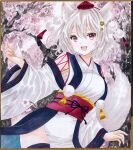  1girl :d animal_ear_fluff animal_ears black_thighhighs breasts cherry_blossoms hajike_akira highres inubashiri_momiji japanese_clothes kimono long_sleeves looking_at_viewer open_mouth pelvic_curtain petals pom_pom_(clothes) sarashi short_hair smile solo tail thigh-highs touhou traditional_media white_hair white_kimono wolf_ears wolf_girl wolf_tail 