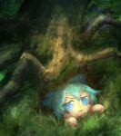  1girl artist_name blue_eyes blue_hair bow cirno commentary english_commentary fumo_(doll) grass hair_bow hiding highres short_hair skullchimes smile solo sunlight touhou tree tree_shade v-shaped_eyebrows watermark 