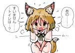  1girl animal_ears copyright_request fox_ears fox_girl fox_tail kasuya_baian kudamaki_tsukasa romaji_text tail touhou white_background 