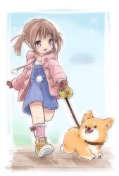  1girl :d animal baby_animal blue_overalls blue_sky blush bow bow_legwear brown_gloves brown_hair child commentary_request dog down_jacket flower full_body gloves hair_flower hair_ornament highres holding holding_leash hood hooded_jacket jacket leash looking_at_animal multicolored_shoes open_clothes open_jacket open_mouth original outdoors overall_shorts overalls pawpads pet_walking pink_bow pink_eyes pink_jacket polka_dot polka_dot_jacket puppy running shirt short_twintails sidelocks signature sinasia sky smile snowflakes solo tassel twintails welsh_corgi white_shirt winter 