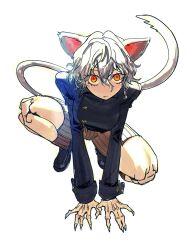  1other animal_ears arthropod_girl arthropod_limbs blue_jacket breasts cat_ears cat_girl cat_tail edpan english_commentary eyelashes full_body highres hunter_x_hunter jacket looking_at_viewer medium_breasts orange_eyes shoes short_hair simple_background slit_pupils solo tail white_background white_hair 