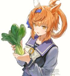  1girl animal_ears blue_hairband bow character_request cocontoozai commentary_request ear_covers food hair_between_eyes hairband holding holding_food horse_ears horse_girl lettuce long_hair looking_at_food open_mouth orange_hair ponytail purple_sailor_collar purple_shirt sailor_collar school_uniform shirt sidelocks single_ear_cover solo tracen_school_uniform umamusume white_bow yellow_eyes 
