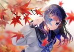  1girl autumn autumn_leaves black_sailor_collar blue_eyes blue_neckerchief blurry day depth_of_field dot_nose head_tilt highres holding holding_leaf leaf long_hair long_sleeves looking_at_viewer neckerchief original outdoors parted_lips purple_hair sailor_collar school_uniform shirt solo upper_body watanacat white_shirt 