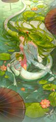  2girls absurdres aoqun bad_source beizi_(clothing) bingbing_bing bug child chinese_clothes chinese_text double_bun dragonfly flower green_hair hair_bun hanfu highres huanyuan_shexian_(roco_kingdom) jiaoling_ruqun lamia long_hair lotus monster monster_girl multiple_girls oil-paper_umbrella pond red_eyes roco_kingdom scales she_niangzi_(roco_kingdom) submerged umbrella very_long_hair water 