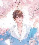 1boy bishounen brown_eyes cherry_blossoms eiden_(nu_carnival) gem jewelry light_brown_hair long_sleeves looking_at_viewer male_focus necklace nu_carnival owner_bird short_hair 