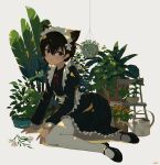  1girl absurdres animal_ear_fluff animal_ears apron black_footwear black_hair blush cat_ears cat_girl chair commentary dress english_commentary flower frilled_dress frills full_body grey_eyes hair_between_eyes hanging_plant highres kgt_(pixiv12957613) long_sleeves looking_at_viewer maid maid_apron maid_headdress mary_janes neck_ribbon one_side_up original pantyhose parted_lips plant potted_plant puffy_long_sleeves puffy_sleeves red_ribbon ribbon shoes short_hair signature simple_background solo waist_apron watering_can white_background white_flower white_pantyhose 
