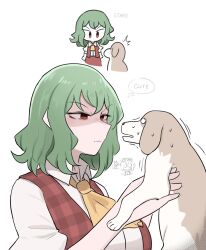  3girls animal ascot chibi chibi_inset closed_mouth commentary dog english_commentary english_text green_hair highres holding holding_animal holding_dog kazami_yuuka mata_(matasoup) medicine_melancholy multiple_girls red_eyes red_vest short_hair simple_background solo_focus speech_bubble su-san sweat thought_bubble touhou v-shaped_eyebrows vest white_background yellow_ascot 