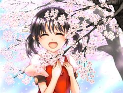 1girl ^_^ black_hair blue_sky cherry_blossoms closed_eyes cute day flat_chest hair_bobbles hair_ornament kaai_yuki open_mouth pigtails puffy_short_sleeves puffy_sleeves red_dress red_neckwear sakura sky sleeveless sleeveless_dress solo square-end_necktie vocaloid white_shirt young