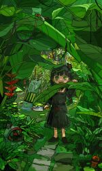  1girl absurdres black_hair blood blood_on_clothes blood_on_knife bug commentary_request dragonfly green_eyes highres holding holding_weapon knife long_hair open_mouth original plant slit_pupils terada_tera weapon 