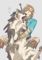  1boy animal_ear_piercing blue_tunic brown_hair commentary_request dual_persona earrings highres jewelry link male_focus open_mouth parted_lips pawpads pointy_ears sidelocks sitting sumooo_(ga_ilil) sword sword_on_back the_legend_of_zelda the_legend_of_zelda:_breath_of_the_wild the_legend_of_zelda:_twilight_princess tunic weapon weapon_on_back wolf wolf_link 