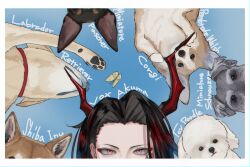  1boy black_hair blue_background border bug butterfly character_name commentary dog english_commentary eyeliner highres horns labrador_retriever makeup male_focus miniature_pinscher mixed-language_commentary nijisanji pink_eyes poodle red_eyeliner red_horns schnauzer shiba_inu solo tebeneme3 virtual_youtuber vox_akuma welsh_corgi white_border 