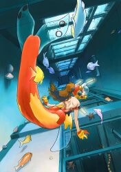  1girl archived_source back bad_link broken_glass brown_hair chalkboard classroom diving_helmet fins fish fish_tail full_body glass gloves half_updo hallway helmet hirai_yukio indoors median_furrow mermaid mermaid_costume monster_girl ocean orange_gloves orange_helmet original ponytail profile shoulder_blades solo starfish tail transom_window two-tone_helmet underwater window yellow_gloves yellow_helmet 