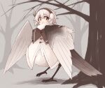 1girl bare_tree bird_legs bird_tail black_eyes blush brown_feathers closed_mouth earmuffs feather_hair_ornament feathers hair_between_eyes hair_ornament harpy highres kaginoni monster_girl original short_hair smile solo tail tree white_feathers white_hair white_wings winged_arms wings 