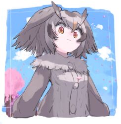  1girl animal_ears bird_ears bird_girl blue_sky border brown_hair cherry_blossoms cherry_tree closed_mouth clouds commentary_request crossed_bangs falling_leaves feather-trimmed_shirt feather_hair from_below grey_hair grey_shirt highres kemono_friends leaf light_smile long_sleeves looking_at_viewer looking_down medium_hair multicolored_hair naka_(buttergirl_02) northern_white-faced_owl_(kemono_friends) notice_lines orange_eyes overlighting shirt sky solo streaked_hair tree upper_body vignetting white_border 