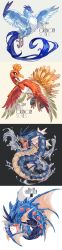  absurdres articuno b.i.a bird blue_bird claws closed_mouth column_lineup commentary dragon eastern_dragon english_text fangs feathered_wings fins full_body grey_background gyarados highres ho-oh lineup looking_back mega_gyarados no_humans open_mouth pokemon pokemon_(creature) pokemon_focus red_bird red_eyes simple_background snowflakes splashing spread_wings symbol-only_commentary tall_image talons water white_background wings 