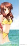  bikini kimizuka_aoi swimsuit tagme 