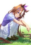  1girl absurdres animal_ears blue_eyes brown_footwear brown_hair chakuma_(yiyh1468) grass highres horse_ears horse_girl horse_tail loafers long_hair looking_at_viewer looking_to_the_side multicolored_hair open_mouth outstretched_arms own_hands_together purple_shirt school_uniform shirt shoes short_sleeves signature skirt smile solo squatting streaked_hair tail tail_through_clothes thigh-highs tokai_teio_(umamusume) tracen_school_uniform umamusume white_skirt white_thighhighs 