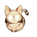  :&lt; animal animal_focus catcoon closed_mouth don&#039;t_starve dragonflylittle full_body glowing glowing_eyes looking_at_viewer no_humans simple_background solo white_background 