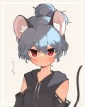  1girl animal_ear_fluff animal_ears detached_sleeves grey_hair high_ponytail highres hood hoodie light_frown looking_at_viewer mouse_ears mouse_girl mouse_tail nazrin neck ponytail red_eyes short_hair tail take_no_ko_(4919400) touhou upper_body white_background 