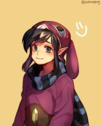  1boy animal_hood black_hair commentary_request crystal eyebrows_hidden_by_hair green_eyes hood korean_commentary male_focus penguyeon pointy_ears purple_robe rabbit_hood ravio robe scarf sidelocks smile solo striped_clothes striped_scarf the_legend_of_zelda the_legend_of_zelda:_a_link_between_worlds tumblr_username upper_body 