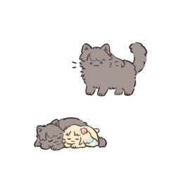  :3 animal_focus animal_with_hair animalization ao_kaeru brown_cat cat closed_eyes closed_mouth commentary_request dog flower fujishima_megumi hair_flower hair_ornament highres link!_like!_love_live! love_live! mira-cra_park! multiple_views no_humans osawa_rurino pink_flower simple_background sleeping smile twintails two_side_up u_u violet_eyes virtual_youtuber white_background yellow_dog 