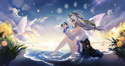  1girl absurdres bird camera commentary_request flower highres katya_klein moon pigeon scenery sitting snowbreak:_containment_zone sunset water white_hair yellow_eyes zhcx7832 