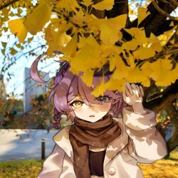  1girl ahoge autumn autumn_leaves brown_coat brown_scarf casual chinese_commentary coat commentary_request ginkgo_tree heterochromia highres honkai_(series) honkai_gakuen leaf long_sleeves looking_at_viewer multicolored_hair open_mouth photo_(medium) pink_hair purple_hair scarf short_hair sin_mal sin_mal0909 solo two-tone_hair upper_body violet_eyes yellow_eyes 