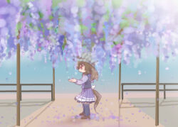  1girl animal_ears beanie beer_hsk blue_flower brown_hair brown_shoes commentary_request ears_through_headwear flower from_side grey_hat hair_between_eyes hands_up hat horse_ears horse_girl horse_tail long_hair long_sleeves nakayama_festa_(umamusume) petals pleated_skirt profile puffy_long_sleeves puffy_sleeves purple_flower purple_shirt purple_skirt purple_thighhighs school_uniform shirt shoes skirt solo striped_clothes striped_headwear tail thigh-highs tracen_school_uniform umamusume vertical-striped_clothes vertical-striped_headwear violet_eyes 