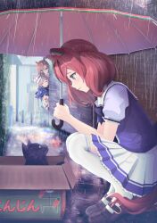  1girl 4girls @_@ ahoge animal_ears blue_eyes blue_hair blue_hat blush bow bowtie box breasts brown_eyes brown_hair brown_shoes cardboard_box cat closed_eyes closed_mouth commentary_request crossed_bangs ear_bow ear_covers ear_ribbon ears_through_headwear gelato1030 glasses green_bow hair_ornament hairclip hat heterochromia highres holding holding_umbrella horse_ears horse_girl horse_tail ikuno_dictus_(umamusume) in_box in_container long_hair matikanetannhauser_(umamusume) medium_hair multicolored_hair multiple_girls newsboy_cap nice_nature_(umamusume) open_mouth outdoors pleated_skirt puffy_short_sleeves puffy_sleeves purple_bow purple_bowtie purple_shirt rain round_eyewear sailor_collar sailor_shirt school_uniform sharp_teeth shirt shoes short_sleeves sidelocks skirt smile squatting streaked_hair tail teeth thigh-highs tilted_headwear tracen_school_uniform twin_turbo_(umamusume) twintails umamusume umbrella white_thighhighs 