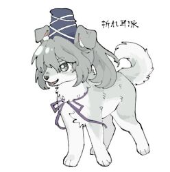  animal animal_ear_fluff animalization blue_hat clothed_animal commentary_request dog grey_hair hat mononobe_no_futo neck_ribbon no_humans open_mouth purple_ribbon ribbon smile tate_eboshi tktkhappymchyru touhou translation_request 