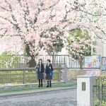  2girls bag black_hair black_skirt blue_jacket bow cherry_blossoms day hayashi_naoyuki highres jacket kneehighs long_hair multiple_girls original outdoors pantyhose pleated_skirt road scenery school_bag school_uniform short_hair sidewalk skirt socks tree yellow_bow 