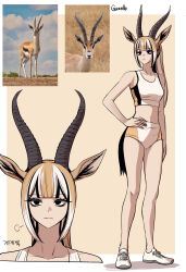  1girl absurdres animal_ears bare_shoulders black_eyes black_hair blunt_bangs brown_hair buruma creature_and_personification crop_top expressionless gazelle_ears gazelle_girl gazelle_horns gazelle_tail gegegekman hand_on_own_hip highres long_hair multicolored_hair multiple_views navel original personification photo_inset reference_inset shirt signature sleeveless sleeveless_shirt stomach track_uniform white_hair 
