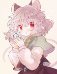  1girl animal animal_ears biyon black_dress blush capelet dress grey_capelet grey_hair hair_between_eyes jewelry long_sleeves mouse mouse_ears mouse_tail nazrin parted_lips pendant red_eyes shirt short_hair solo tail touhou upper_body white_shirt 