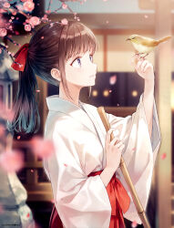 1girl absurdres architecture artist_name bird bird_on_hand blurry brown_hair cherry_blossoms dengeki_moeoh east_asian_architecture falling_petals from_side hair_ribbon hakama hakama_skirt hand_up highres hiten_(hitenkei) holding japanese_clothes kosode light_smile long_hair looking_at_animal magazine_scan miko original outdoors parted_lips petals pink_petals ponytail red_hakama red_ribbon ribbon scan sidelocks skirt solo third-party_source upper_body wide_sleeves 