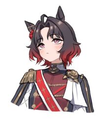  ahoge animal_ears blush brooch brown_hair closed_mouth cropped_torso ear_flower epaulettes flower flower_brooch four-pointed_star gradient_hair highres horse_ears horse_girl jacket jewelry katuko_deluxe long_sleeves multicolored_hair print_sash red_hair red_sash rose_kingdom_(umamusume) sash short_hair simple_background two-tone_hair umamusume vertical-striped_sleeves white_background 
