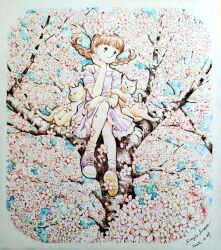  1girl animal artist_name braid brown_eyes brown_hair cat cherry_blossoms closed_mouth commentary_request dated day dress flower hand_on_own_cheek hand_on_own_face head_rest in_tree looking_at_viewer original outdoors pink_flower purple_dress purple_shoes shoes short_hair short_sleeves sitting sitting_in_tree sleeping_animal smile sneakers solo traditional_media tree twin_braids white_cat zpihr6jprso2r2l 